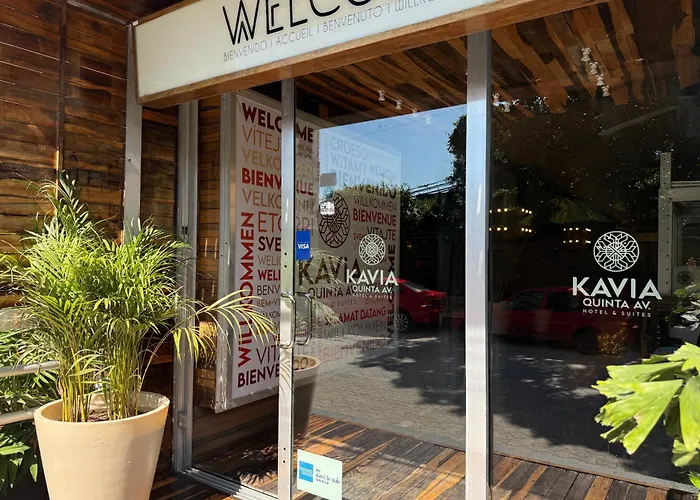 Hotel Kavia 5th Avenida (adults Only) 4*