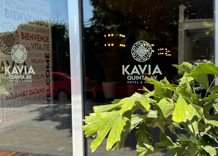 Hotel Kavia 5th Avenida (adults Only) Playa del Carmen