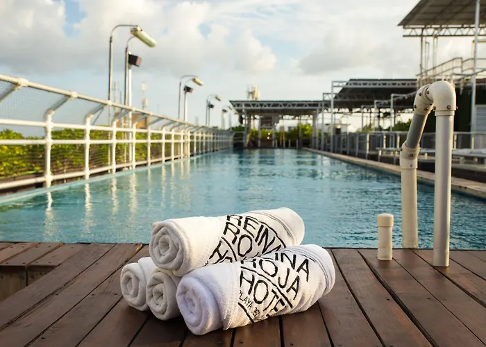 Hotel Kavia 5th Avenida (adults Only) Playa del Carmen